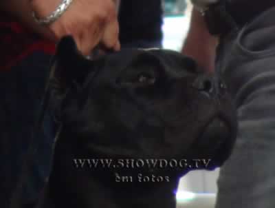 Clique sobre a foto para fechar